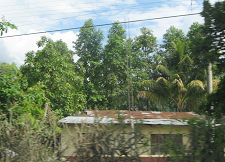 San Ramon, Wellblechhaus