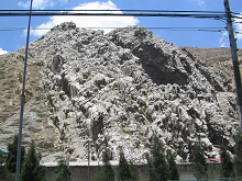 Kalksteinfelsen, Nahaufnahme (02)