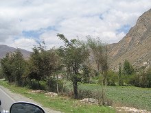 Llanura agraria entre Antalcoma y
                                  Tarma (02)
