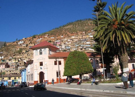Tarma, centro con palmera y vista al
                          cerro mirador