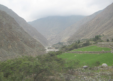 Lima-Ayacucho 2009,
                    Pisco-Tal / valle Pisco