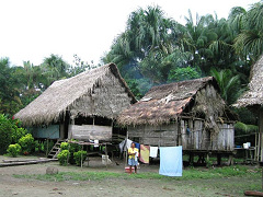 Amazonas-Flussdorf bei Iquitos 02, W�sche
                          h�ngt an W�scheleinen zwischen den
                          Stelzenh�usern