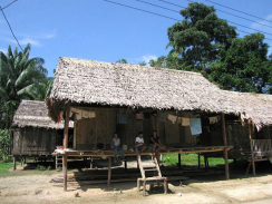 Amazonas-Flussdorf 03 bei Iquitos,
                          Stelzenh�user