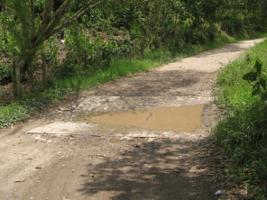 Wassersenke, Nahaufnahme