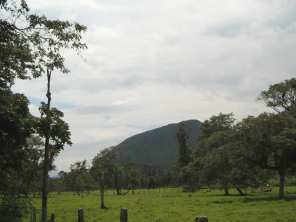 Panorama mit B�umen 01