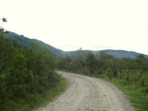 Feldweg, Kurve