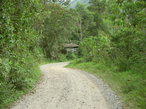 Feldweg, Wald und Haus