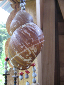 Schneckenhaus, Nahaufnahme
                                        02
