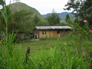 Haus mit Wiese und Bergen im
                            Hintergrund