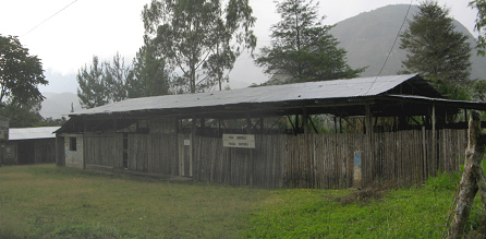 La municipalidad yanesha de
                                    Tsachopen