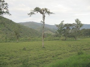 Panorama in Richtung S�den 02