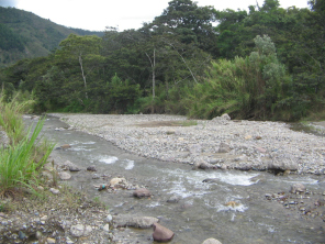 Der Santa-Clara-Fluss (R�o Santa Clara)
                        unterhalb der Br�cke