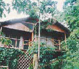 Bungalow of Lodge
Wasai on stilts in Puerto Maldonado Bungalow of Lodge Wasai on stilts in
Puerto Maldonado